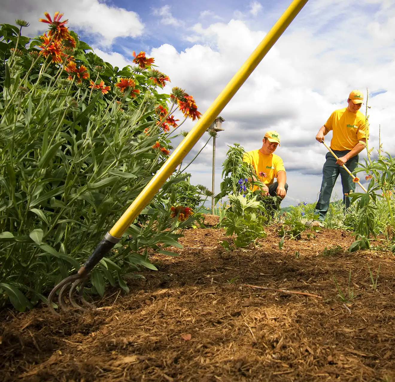 Aggressive Weed Control